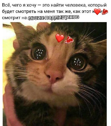 Всё, чего я хочу это найти человека, который будет смотреть на меня так же, как этот смотрит на