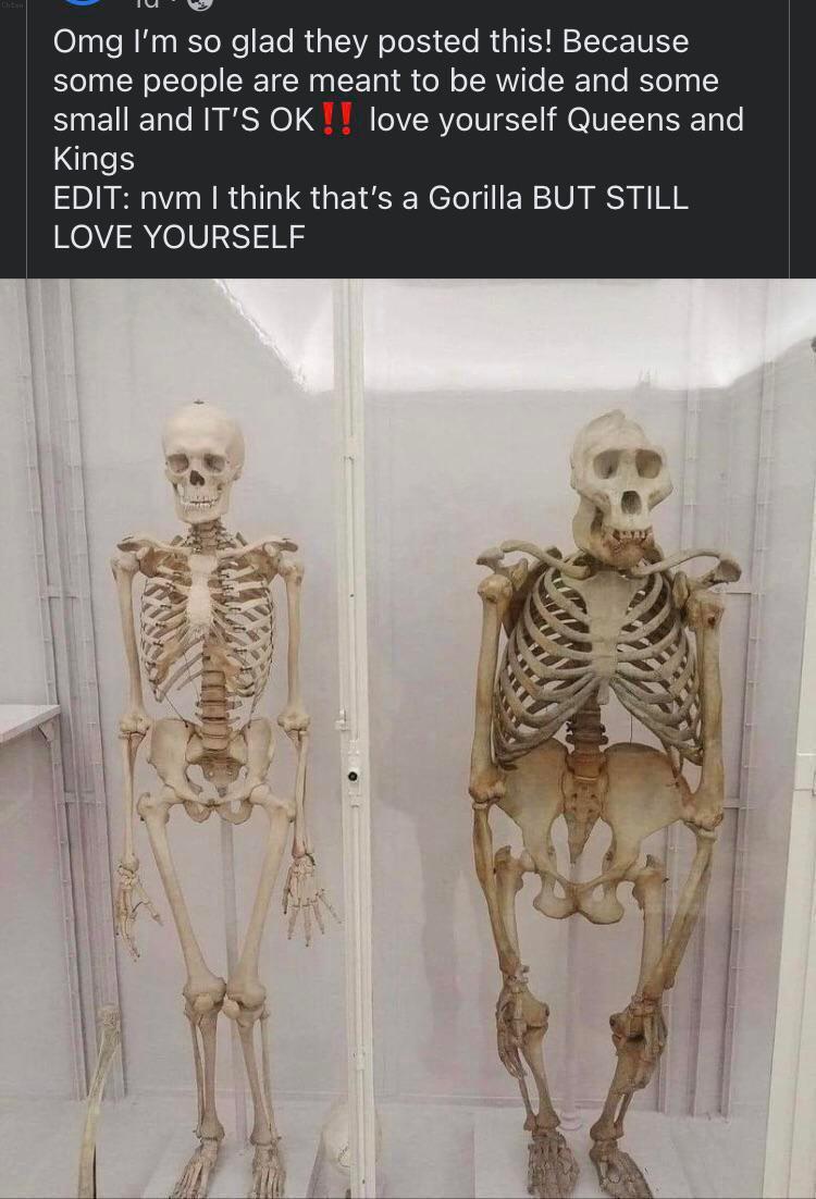 Omg so glad they posted this! Because some people are meant to be wide and some small and IT'S love yourself Queens and Kings EDIT: nvm think that’s a Gorilla BUT STILL LOVE YOURSELF