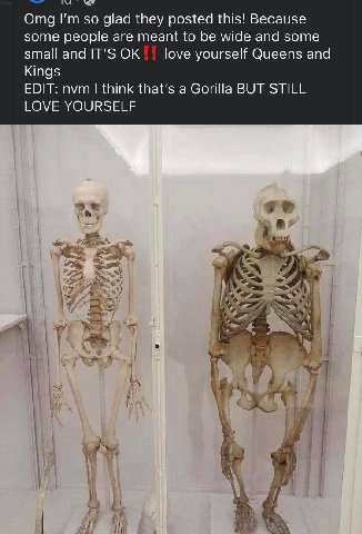 Omg so glad they posted this! Because some people are meant to be wide and some small and IT'S love yourself Queens and Kings EDIT: nvm think that’s a Gorilla BUT STILL LOVE YOURSELF