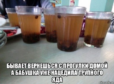 a БЫВАЕТ ВЕРНЕШЬСЯ С ПРОГУЛКИ домой А БАБУШКА ТРУПНОГО ЯДА risovach.ru
