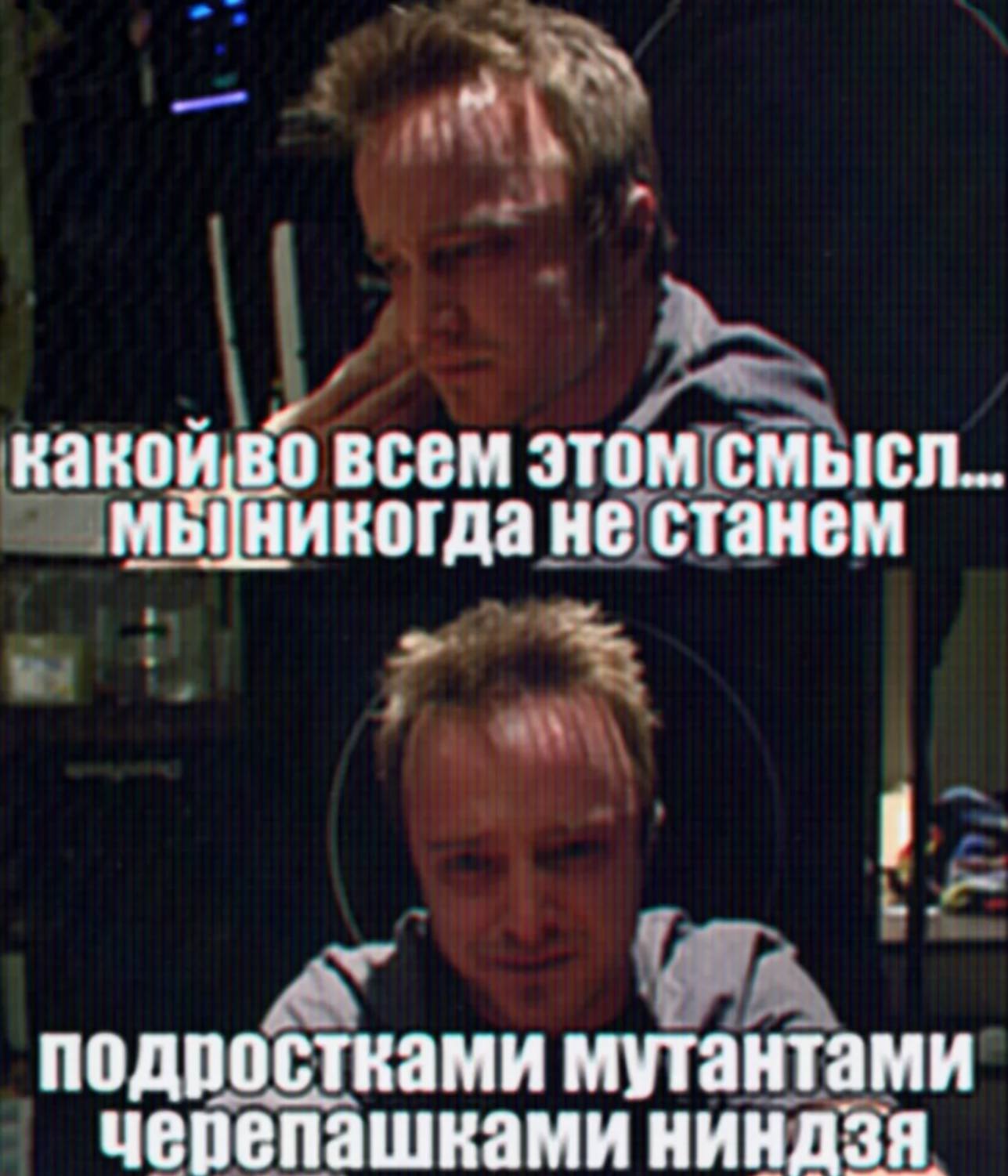 какой всем этом смысл никогда HE станем подростками мутантами черепашками ниндзя