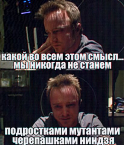 какой всем этом смысл никогда HE станем подростками мутантами черепашками ниндзя
