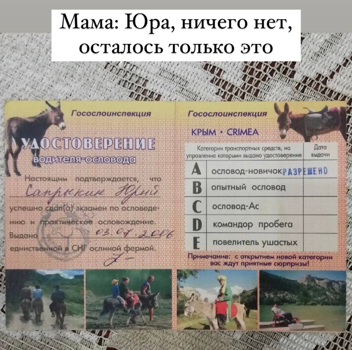 Мама: Юра, ничего нет осталось ТОЛЬКО это a 4$ Mays И Госослоинспекция Госослоинспекция КРЫМ CRIMEA транспортных средств, на Дата управление которыми выдано удостоверение выдачи ословода A ocnoBon- На