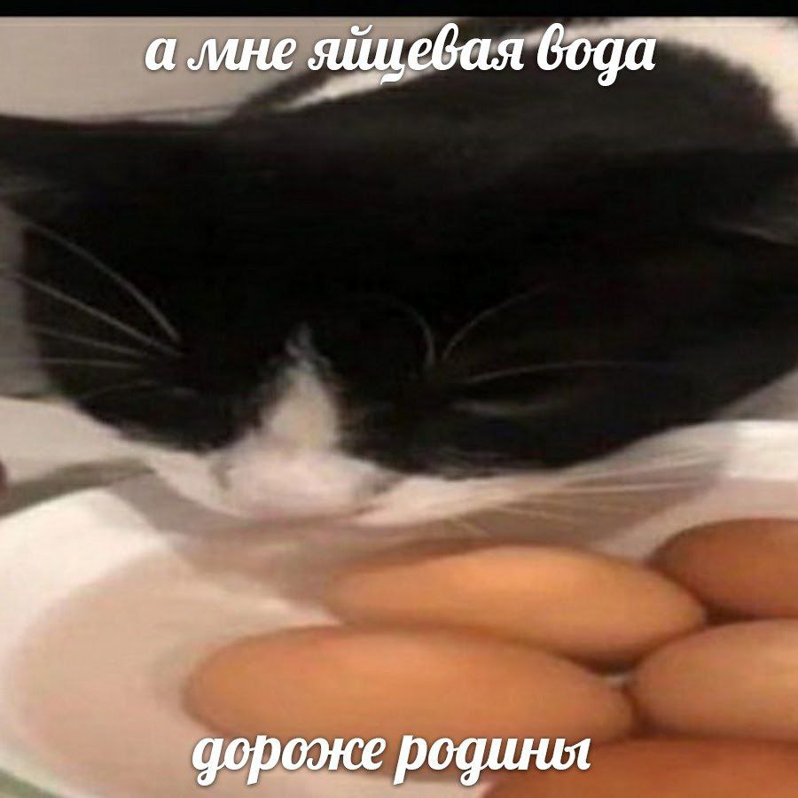 а мне яйцевая дороже родиня