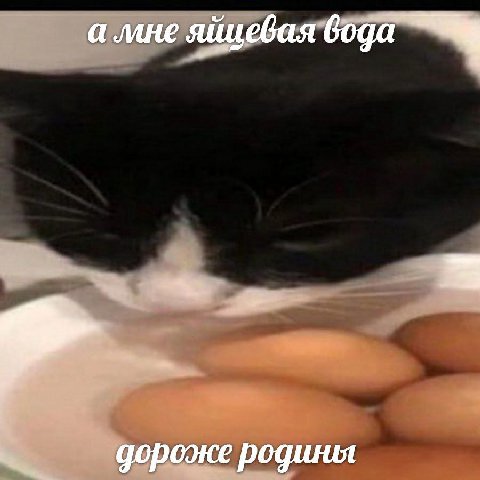 а мне яйцевая дороже родиня