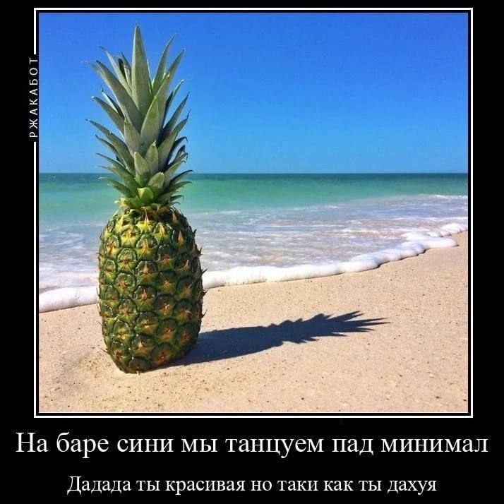 На баре сини мы танцуем пад минимал Дадада ты красивая но таки как ты Дахуя