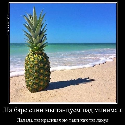 На баре сини мы танцуем пад минимал Дадада ты красивая но таки как ты Дахуя
