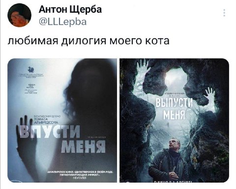 Антон Щерба @LLLepba любимая дилогия моего кота КИНО, ЕДИНСТВЕННОЕ В СВОЁМ РОДЕ. ГИПНОТИЗИРУЮЩИЙ ЭФФЕКТ» NEWSWEEK