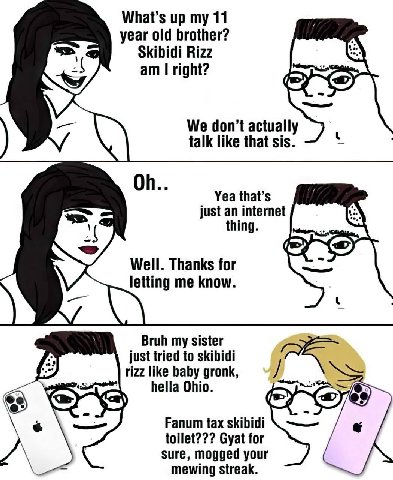 What’s up my 11 year old brother? Skibidi Rizz right? У We don’t actually talk like that sis. Yea that’s just an internet thing. CaO Well. Thanks for letting me know. Bruh my sister just tried to skib