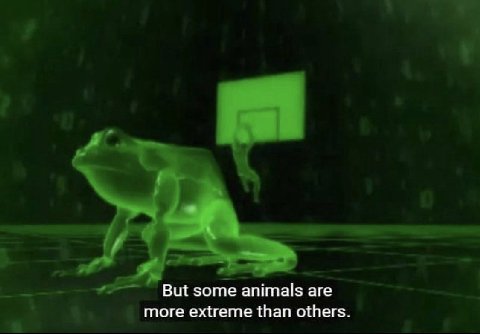 But some animals are more extreme than others.