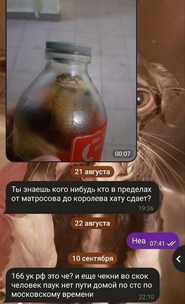 00:07 4 21 августа Ты знаешь кого нибудь кто в пределах от матросова до королева хату сдает? 22 августа Неа 97-41 10 сентября 166 это че? и еще чекни во скок человек паук нет пути домой по стс по моск
