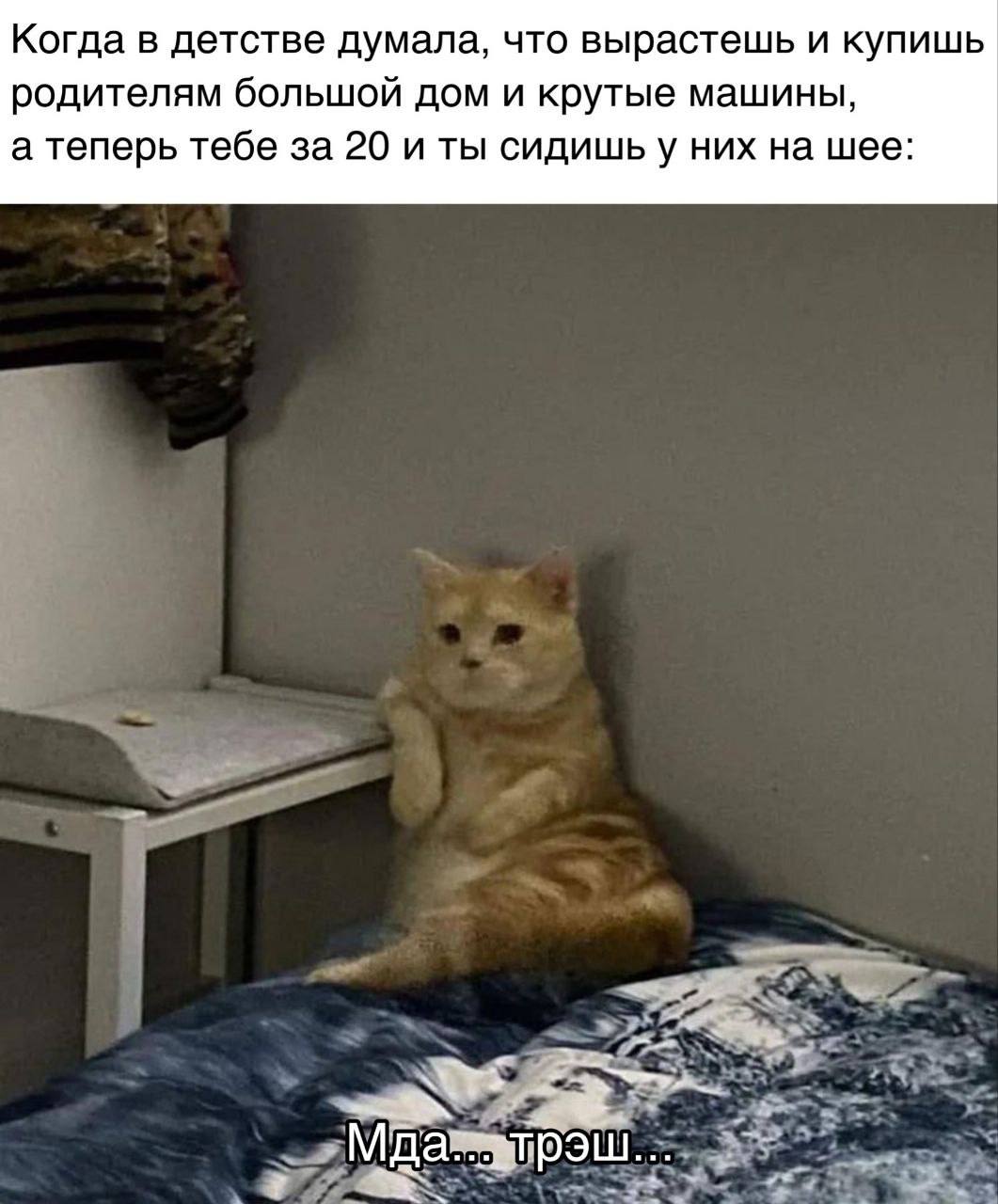 Когда в детстве думала, что вырастешь и купишь родителям большой дом и крутые машины, а теперь тебе за 20 и ты сидишьу них на шее: и
