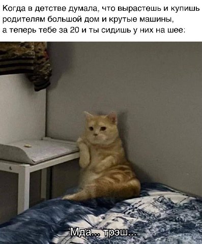 Когда в детстве думала, что вырастешь и купишь родителям большой дом и крутые машины, а теперь тебе за 20 и ты сидишьу них на шее: и