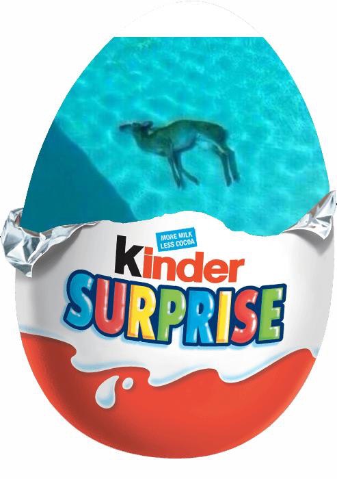 Kinder 6’