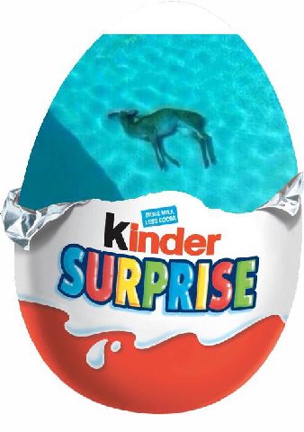 Kinder 6’
