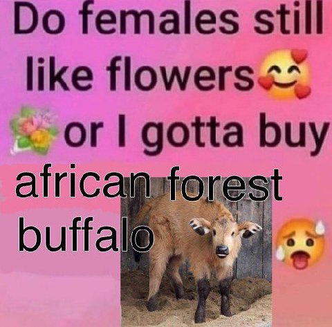 females still like flowers or gotta buy buftale