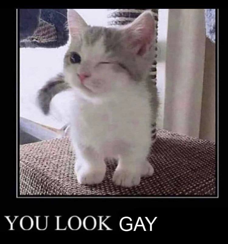 LOOK GAY