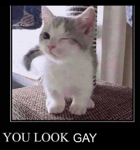 LOOK GAY