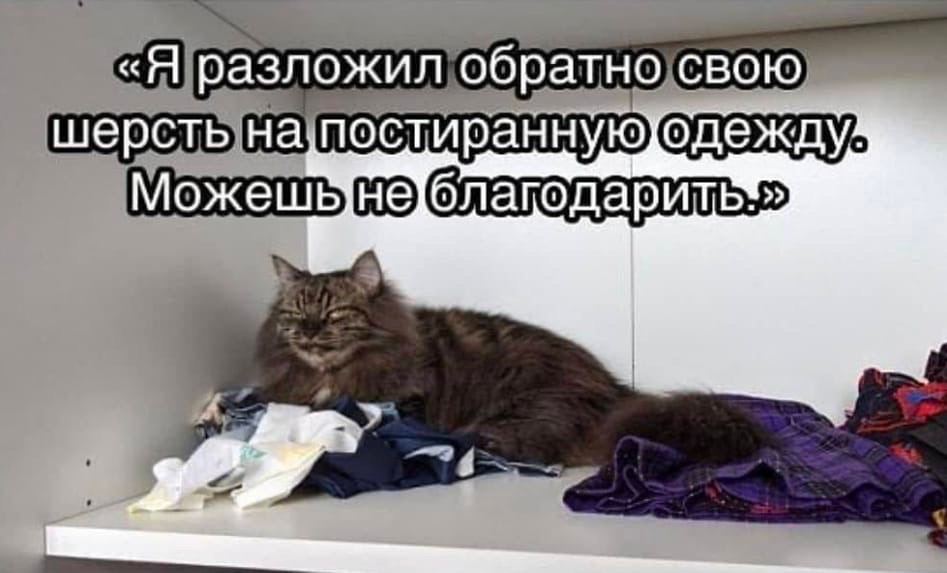одежду? A 9
