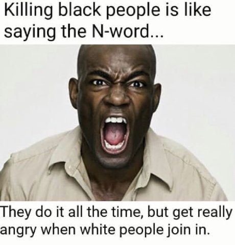 Killing black people is like saying the N-word... А They it all the time, but get really angry when white people join in.