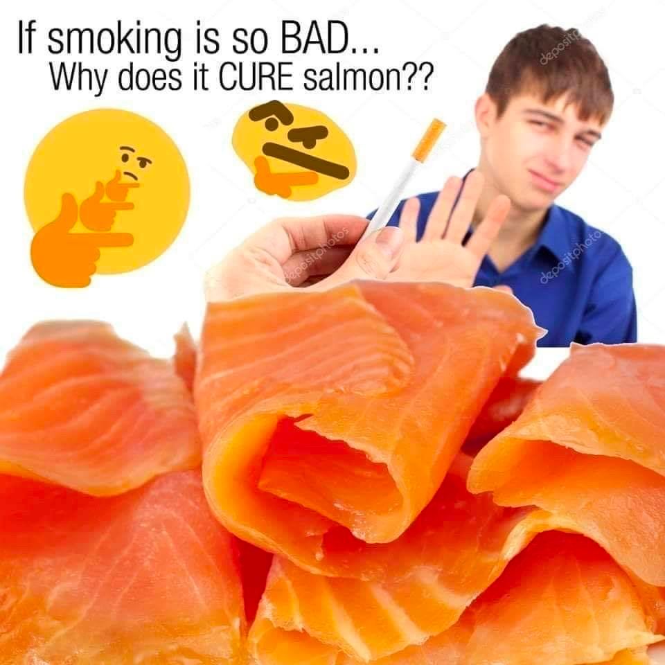 If smoking is so BAD... Why does it CURE salmon??