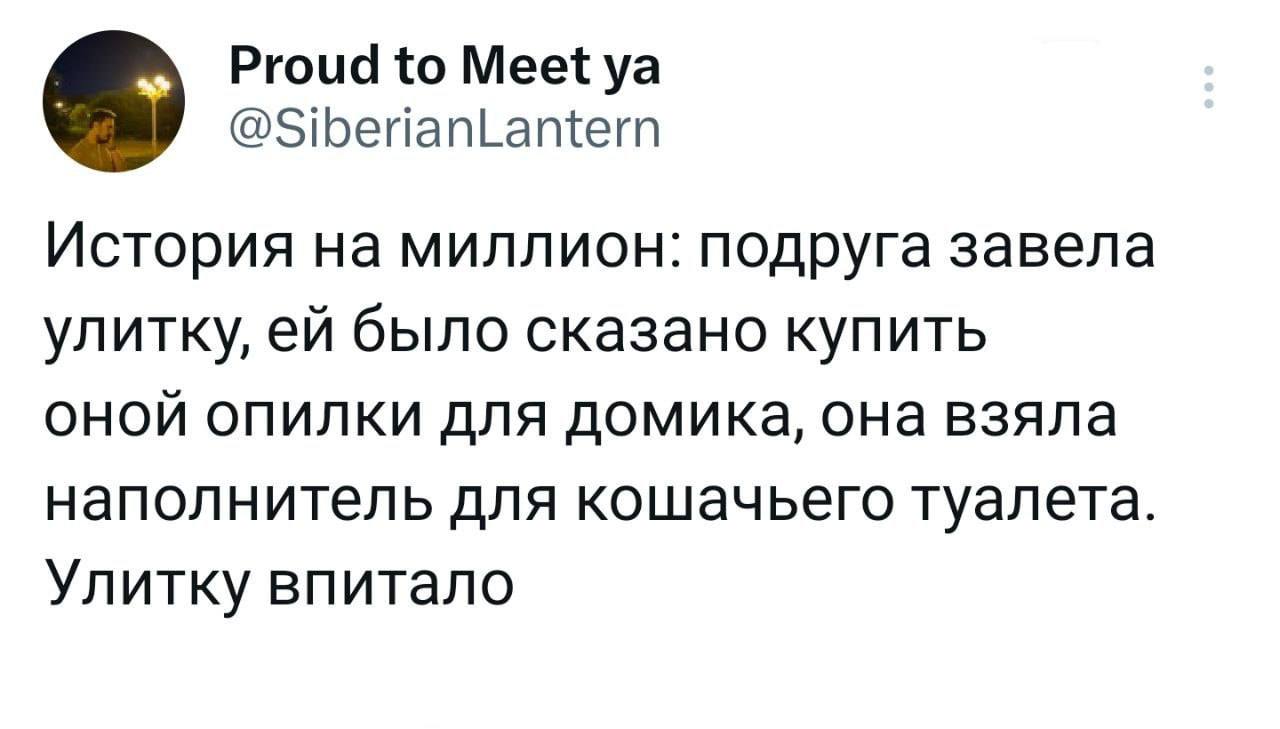 Proud to Meet @SiberianLantern История на миллион: подруга завела улитку, было сказано купить ОНОЙ ОПИЛКИ для домика, она взяла наполнитель для кошачьего туалета. Улитку впитало