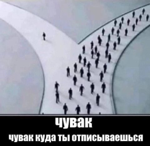 чувак чувак куда ты отписываешься