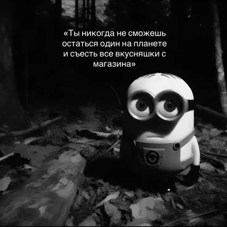 «Ты никогда не сможешь остаться один на планете и съесть все вкусняшки с магазина»