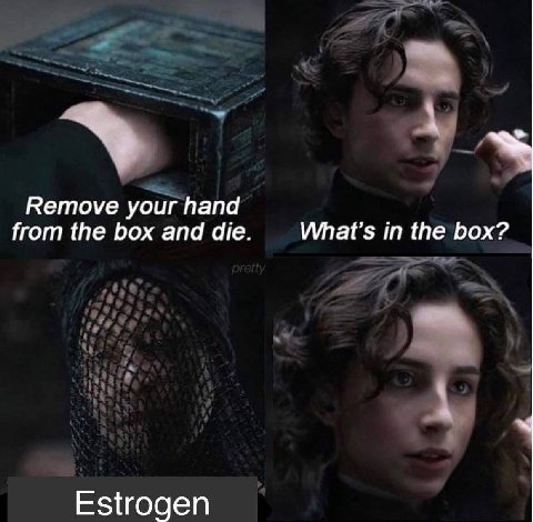 Remove your hand from the box and die. What’s in the box? Estrogen