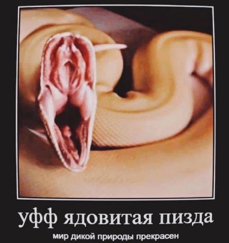 Уфф ядовитая пизда мир дикой природы прекрасен