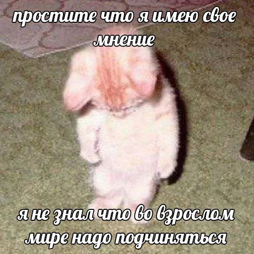 простите что я имею свое as я не знал „мире надо подчиняться