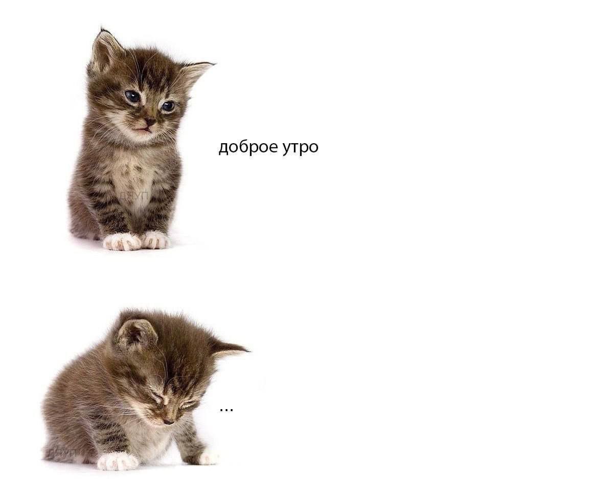 доброе утро