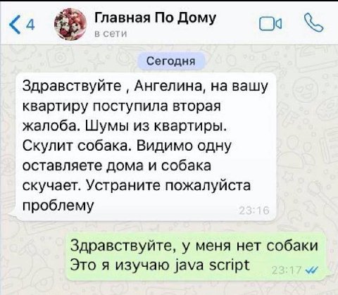 Главная По Дому в сети Сегодня Здравствуйте Ангелина, на вашу квартиру поступила вторая жалоба. Шумы из квартиры. Скулит собака. Видимо одну оставляете дома и собака скучает. Устраните пожалуйста проб