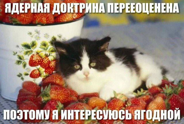 ЯДЕРНАЯ ДОКТРИНА ПЕРЕЕОЦЕНЕНА an ПОЭТОМУ Я ИНТЕРЕСУЮСЬ