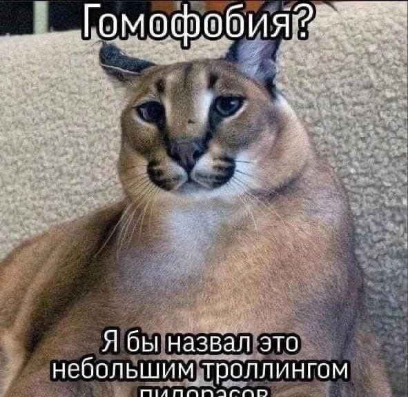 офоб и Я Я бы назвал это небольшим троллингом Mia