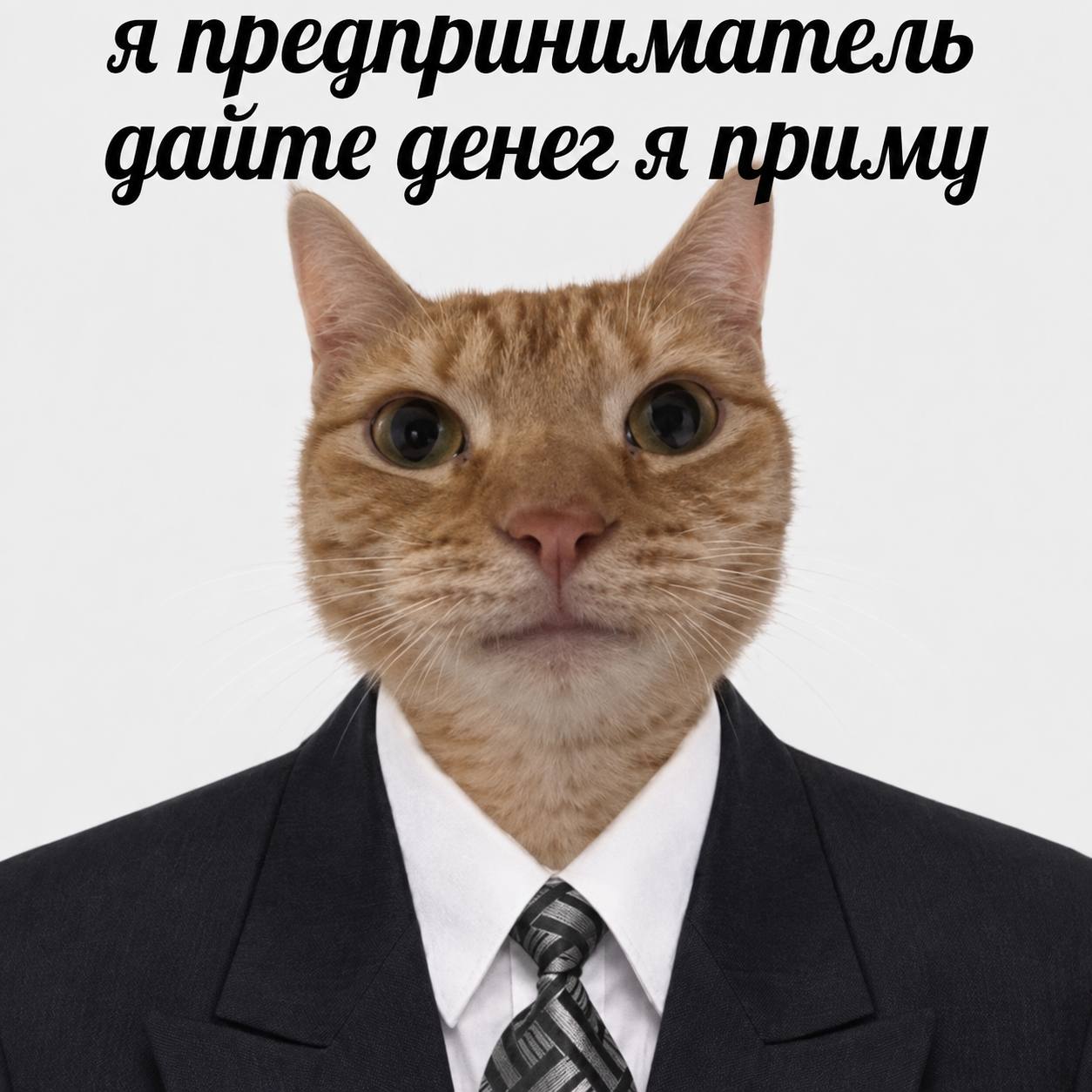 я предприниматель денег я DULMY 27) 2%