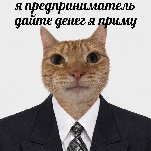 я предприниматель денег я DULMY 27) 2%