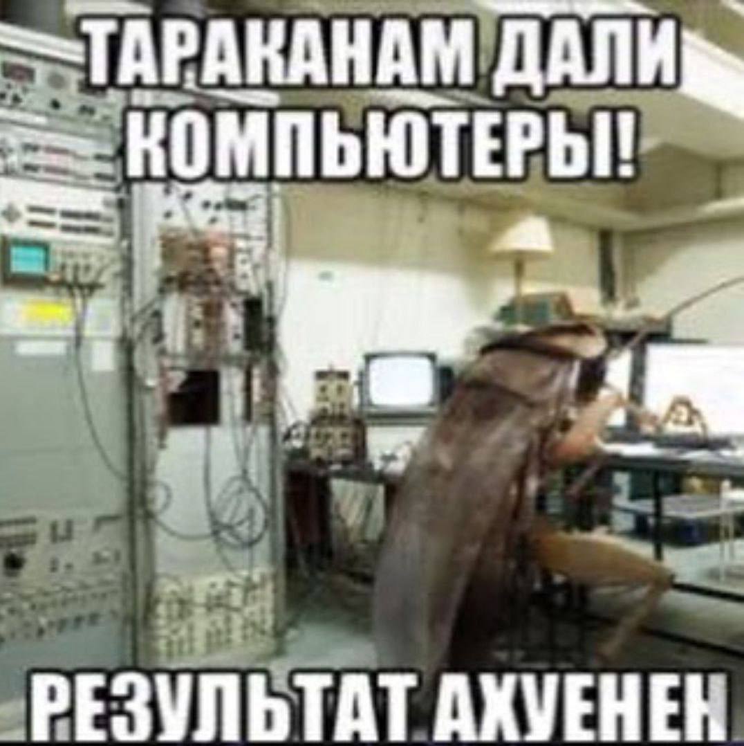 —ТАРАКАНАМ КОМПЬЮТЕРЫ! a РЕЗУЛЬТАТ