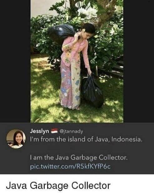 me 4 4 Jesslyn from the island of Java, Indonesia. the Java Garbage Collector. Java Garbage Collector