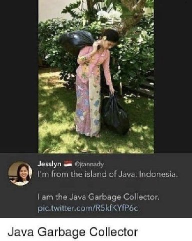 me 4 4 Jesslyn from the island of Java, Indonesia. the Java Garbage Collector. Java Garbage Collector