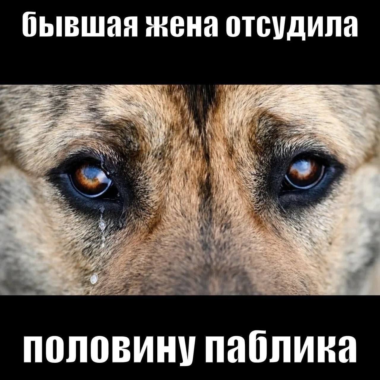 бывшая жена отсудила половину паблика