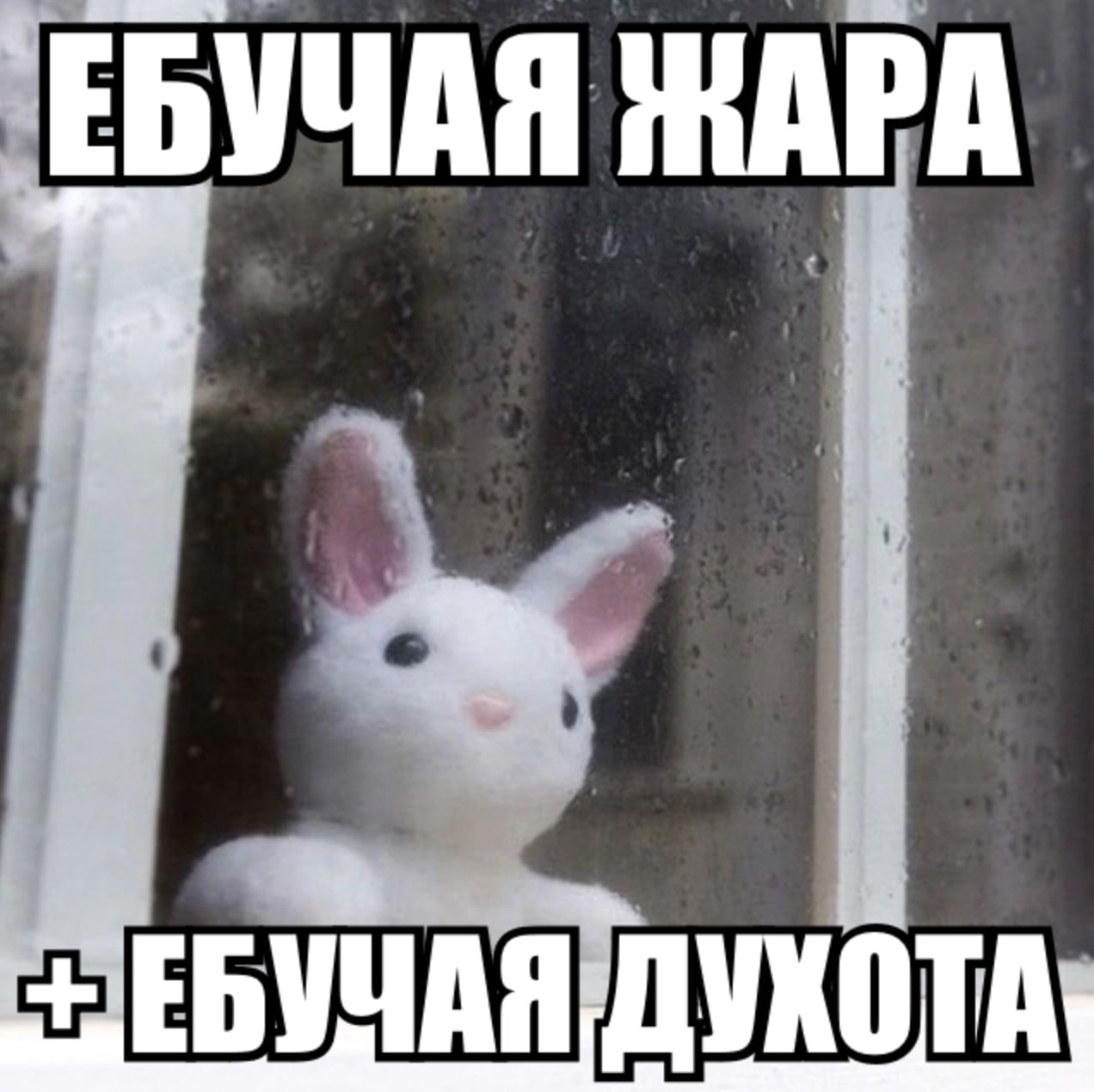 ЕБУЧАЯ ЖАРА