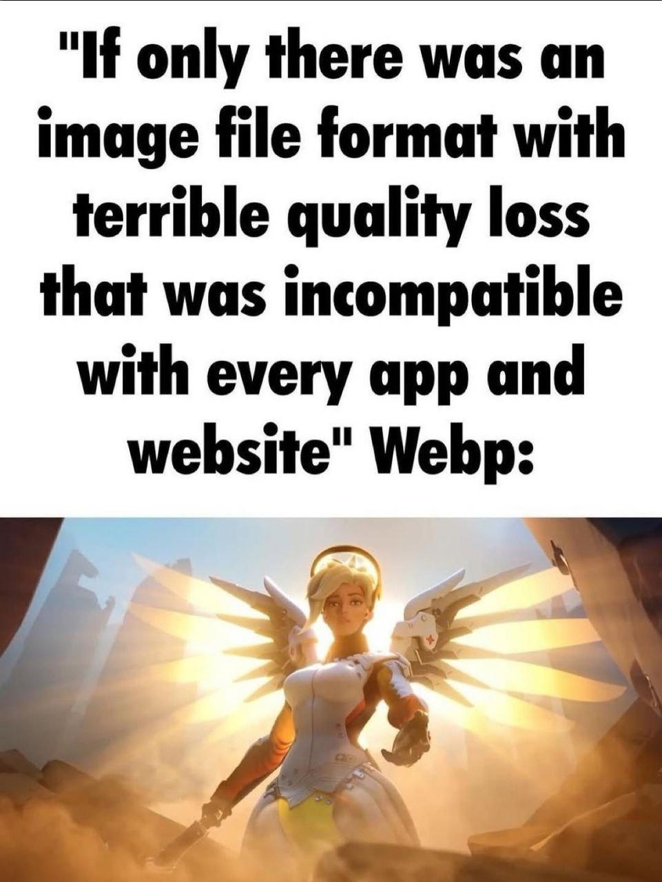 "If only there was an image file format with terrible quality loss that was incompatible with every app and website" Webp: