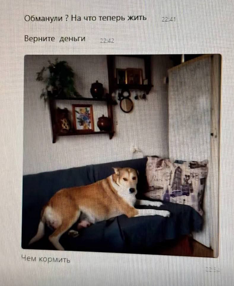 Обманули На что теперь жить Верните ‘деньги Hit i i if wie лем кормить