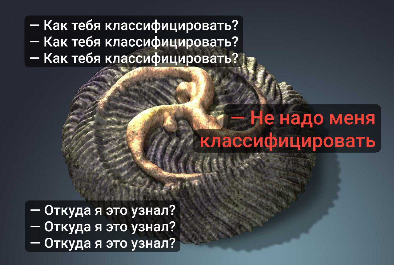 Как тебя классифицировать? Как тебя классифицировать? Как тебя классифицировать? Не надо меня классифицировать это узнал? Откуда я это Откуда я это узнал?