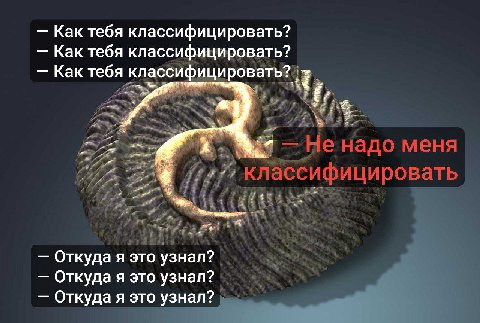 Как тебя классифицировать? Как тебя классифицировать? Как тебя классифицировать? Не надо меня классифицировать это узнал? Откуда я это Откуда я это узнал?