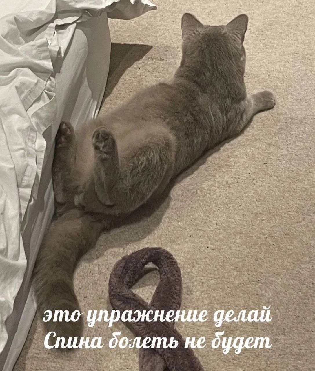 и i у этоупражнение делай долеть не дудет