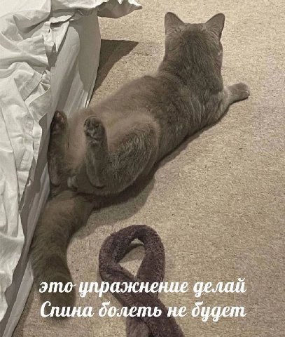 и i у этоупражнение делай долеть не дудет