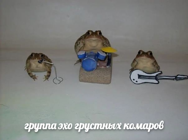 групла эхо грустных комаров