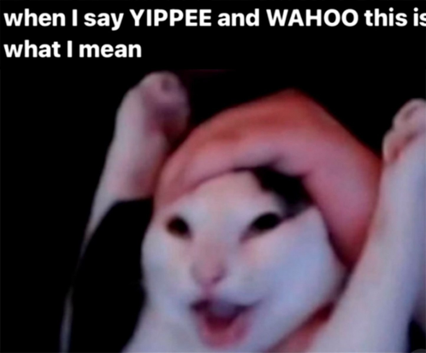when say YIPPEE and WAHOO this is what I mean